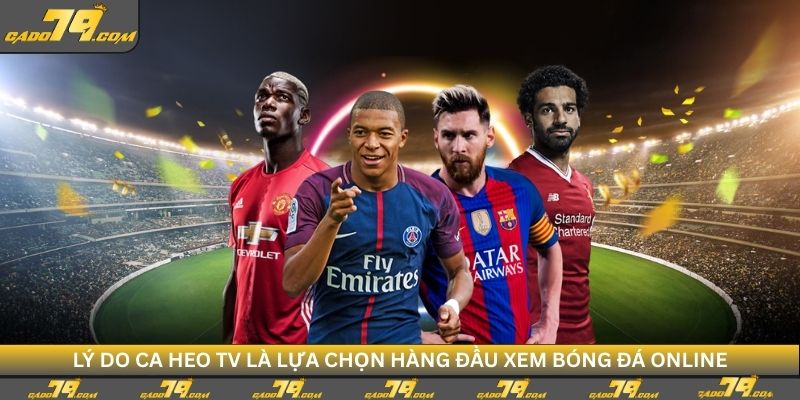 ly do ca heo tv thu hut