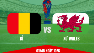 Bỉ vs Wales