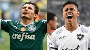 Palmeiras vs Botafogo